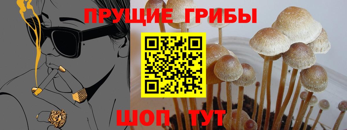Галлюциногенные грибы мухоморы Ивантеевка